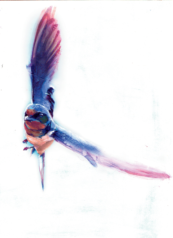 Painting of a Swallow for a story about Hope in the Mountain Gazette 